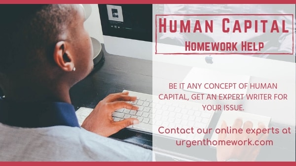 Human capital Homework Help