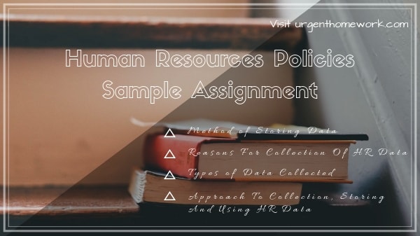 Human Resources Policies Sample Assignment