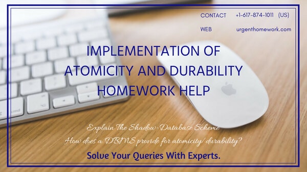 Implementation Of Atomicity And Durability Homework Help
