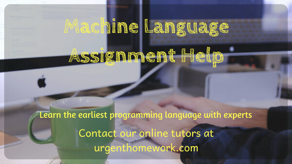 Machine Language Assignment Help