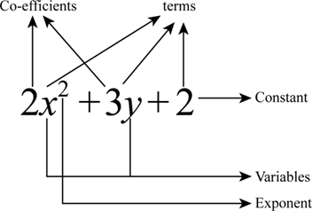 Math - Polynomials