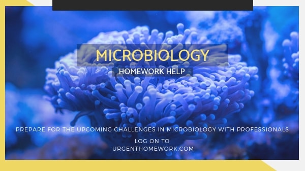 Microbiology assignment Help
