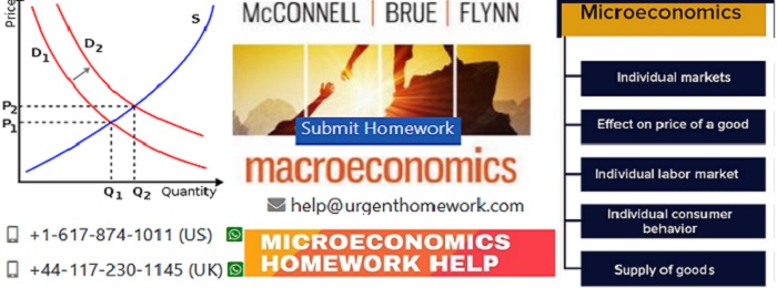microeconomics homework help