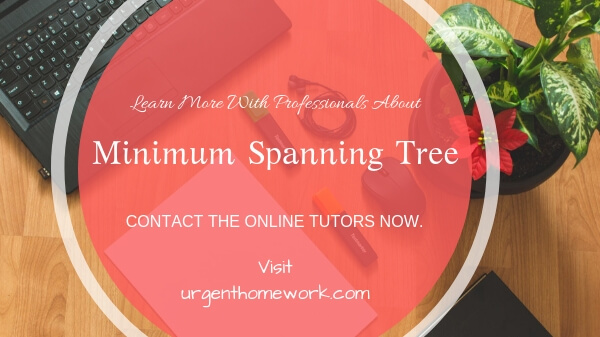 Minimum Spanning Tree Assignment Help