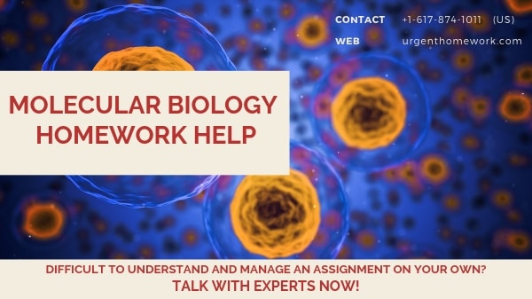 Molecular Biology Homework Help