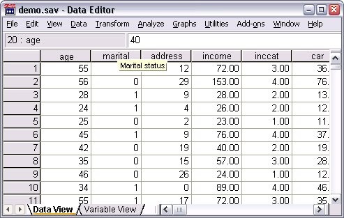 Open SPSS data Open SPSS data