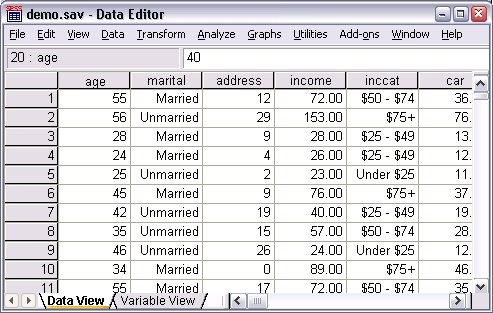 Open SPSS data