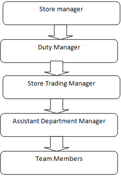 Organisational structure