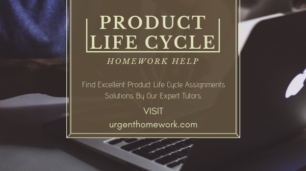 Product Life Cycle Homework Help