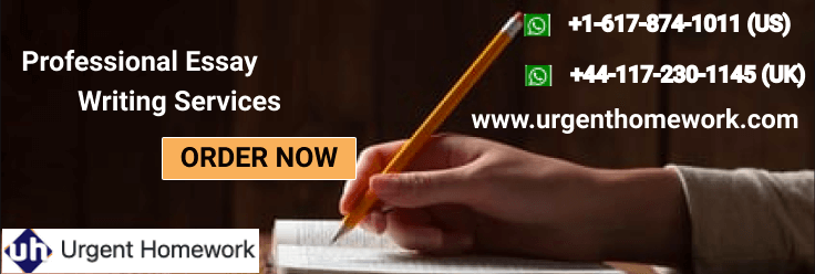 Professional Essay Writing Services