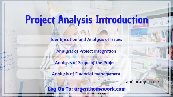 Project Analysis Introduction