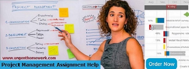 Project Management Assignment Help