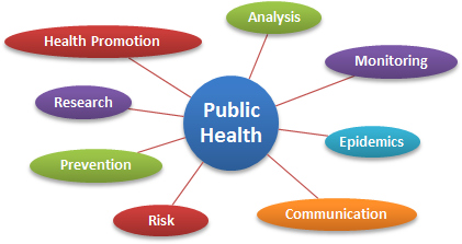 Public Health Assignment Help