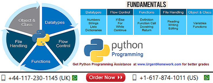 Python Homework Help