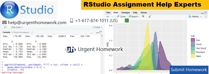 RStudio Assignment Help