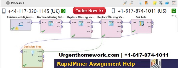 RapidMiner Homework Help