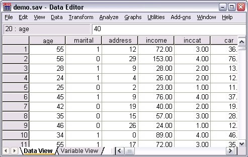 Reading SPSS Data File Reading SPSS Data File