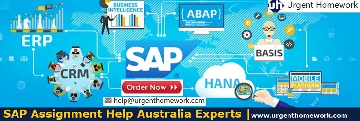 SAP Assignment Help