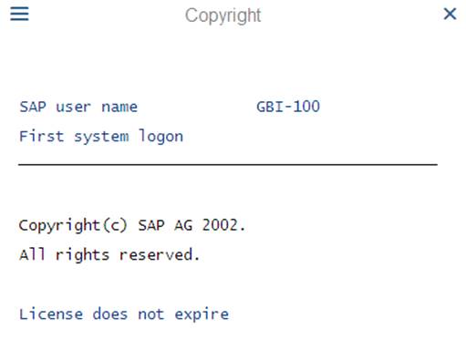 SAP Logon Image 6