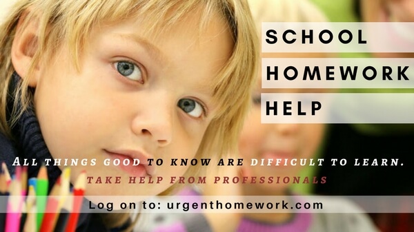 School Homework Help