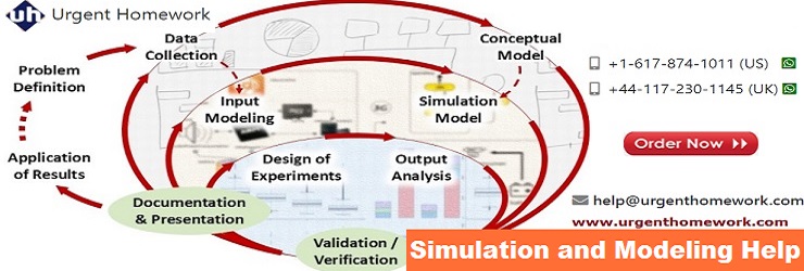 Simulation and Modeling homework help