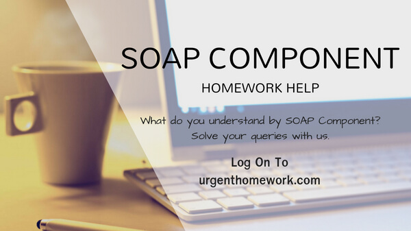SOAP Component Assignment Help