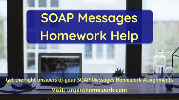 SOAP Message Homework Help