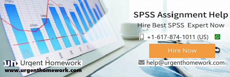 SPSS Assignment Help