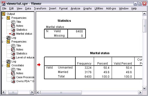 SPSS - Using the Viewer