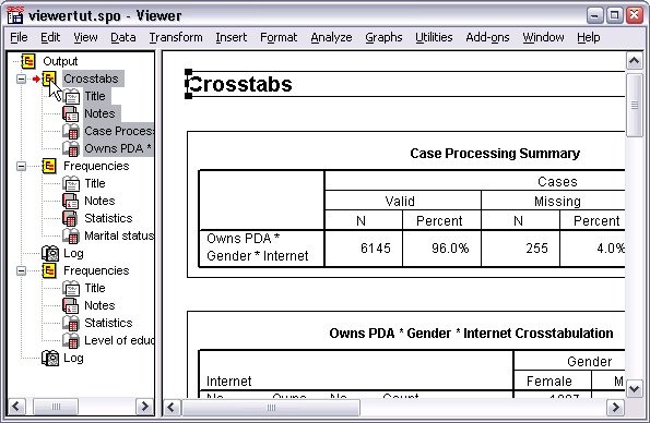 SPSS - Using the Viewer SPSS - Using the Viewer