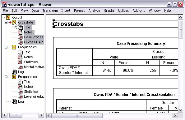 SPSS - Using the Viewer