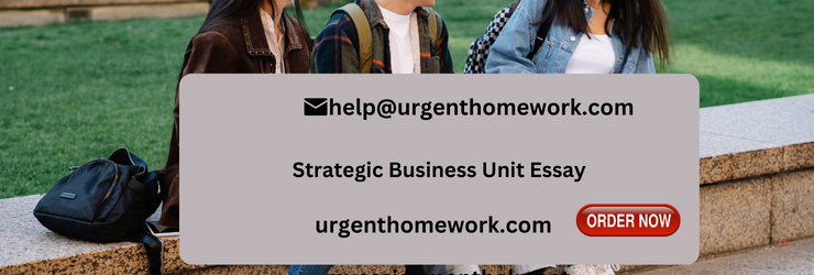 Strategic Business Unit Essay