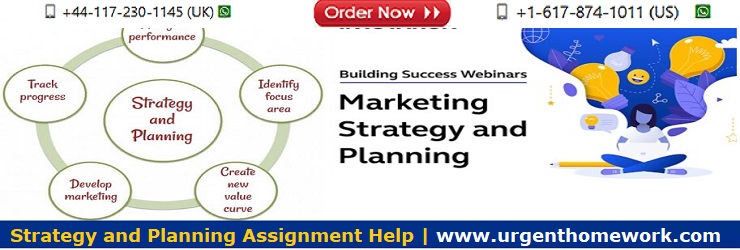 Strategy and Planning Homework Help