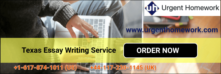 Texas Essay Writing Service