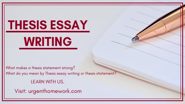 Thesis Essay Writing