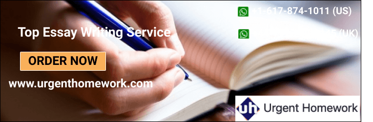 Top essay writing service