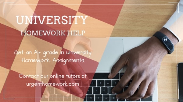 University Homework Help