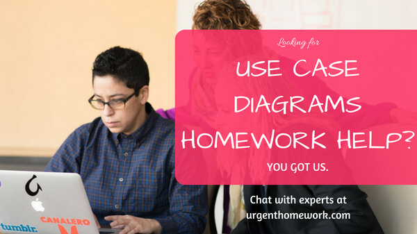Use Case Diagram Homework Help
