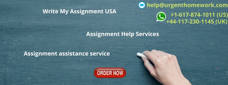 Write My Assignment USA