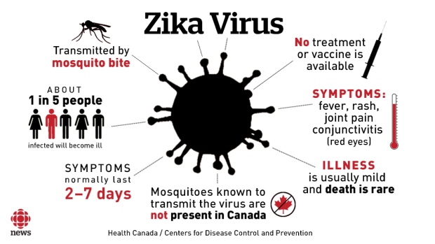 Nursing Homework Help in Zika Virus