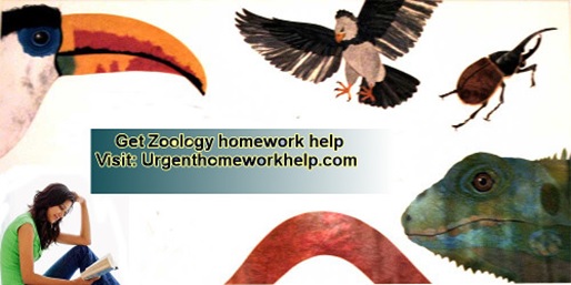 Zoology Homework Help