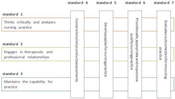 RN standards Registered Nurses Standards For Practice img1