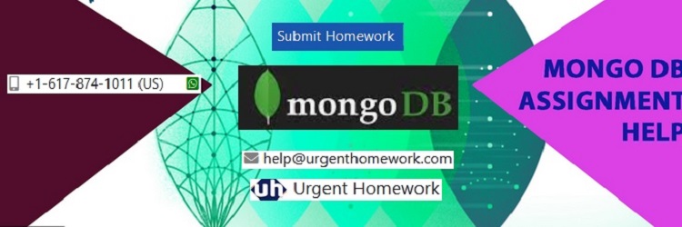 MongoDB Assignment Help