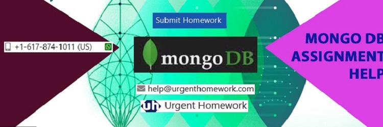 MongoDB Assignment Help MongoDB Assignment Help