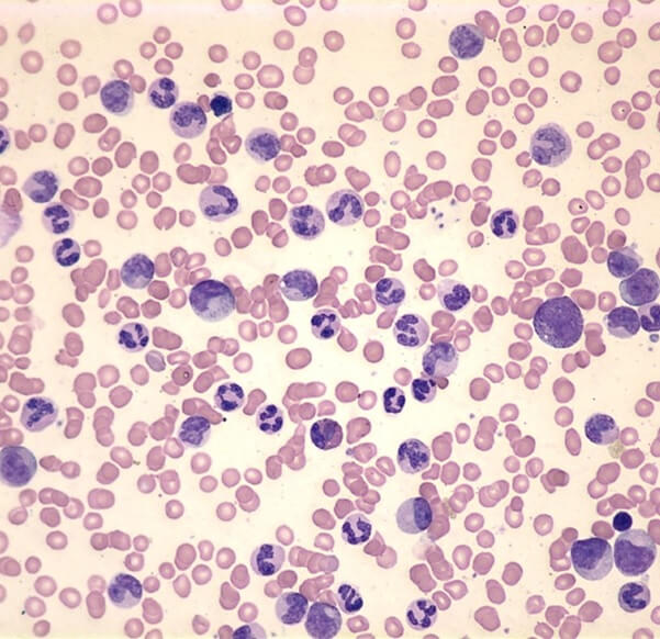 BB4CTS Cells to Systems BB4CTS Cells to Systems img1