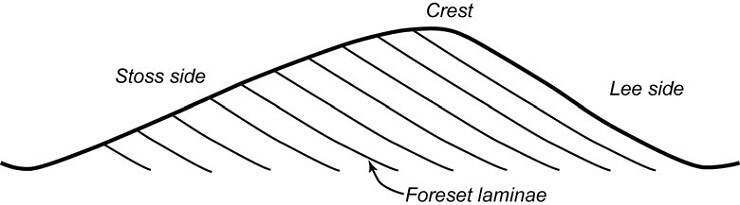 Petroleum Geoscience Model 11 Image 1