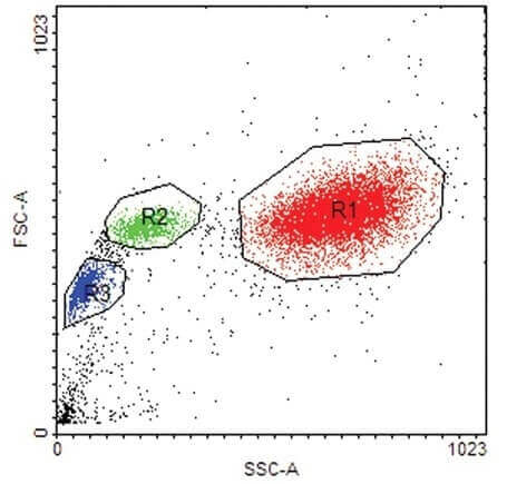 Use colony PCR to identify the correct clones Use colony PCR to identify the correct clones