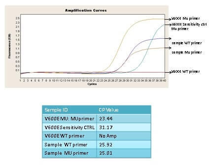 Use colony PCR to identify the correct clones Image 2