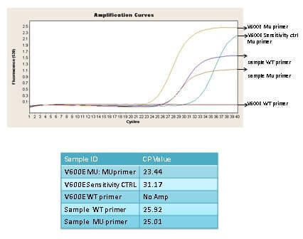 Use colony PCR to identify the correct clones Image 2 Use colony PCR to identify the correct clones Image 2