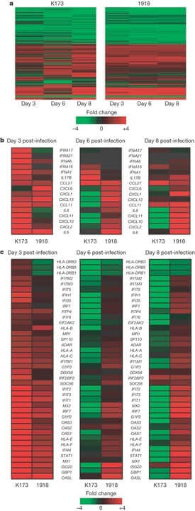 Use colony PCR to identify the correct clones Image 3